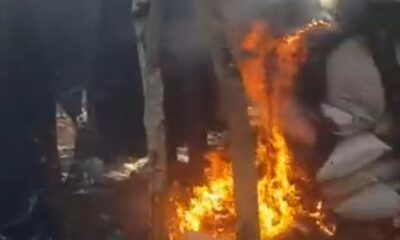 Antinarcóticos destruyó 1.700 kilos de marihuana en Capitán Bado