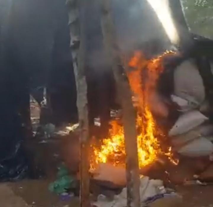 Antinarcóticos destruyó 1.700 kilos de marihuana en Capitán Bado Antinarcóticos destruyó 1.700 kilos de marihuana en Capitán Bado