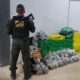 DOF decomisa cerca de 500 kilos de marihuana en Ponta Porã