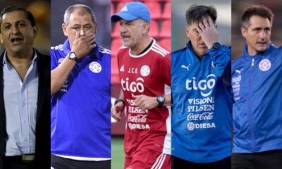 Los técnicos de la era Robert Harrison en la Albirroja y sus números