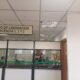 Llamativa conducta de juezas en el momento de conocerse la sentencia a kinesiológa procesada