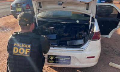 Estudiante de Medicina cae con media tonelada de marihuana en Ponta Porã
