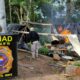 Senad destruye más de 13 toneladas de marihuana en Amambay