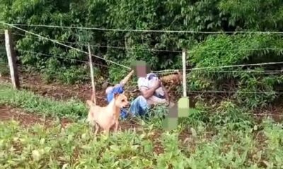 Un hombre fallece electrocutado y otro queda herido cuando intentaban cruzar una cerca eléctrica
