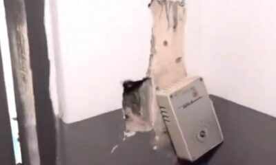 Delincuentes saquean una humilde escuela en Asunción por quinta vez
