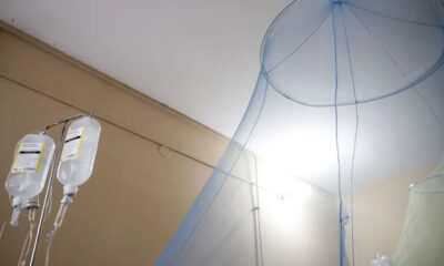 Dengue en Encarnación: 4 muertes sospechosas y 24 internados graves