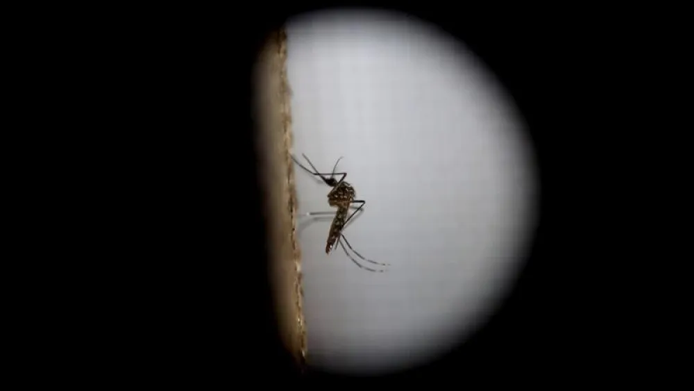 Niña de 6 años fallece por un cuadro de dengue en el Hospital de Caacupé