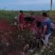 Hallan muerto a un hombre en un tajamar en Loreto