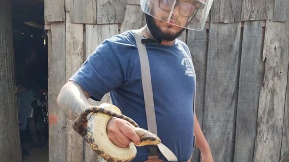 Serpiente de casi dos metros aparece en la cama de un hombre