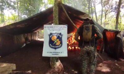 Destruyen cerca de 21 mil kilos de plantaciones de marihuana en un inmueble rural de Cerro Corá