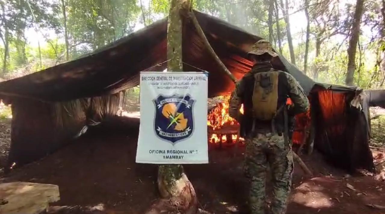 Destruyen cerca de 21 mil kilos de plantaciones de marihuana en un inmueble rural de Cerro Corá Destruyen cerca de 21 mil kilos de plantaciones de marihuana en un inmueble rural de Cerro Corá