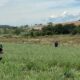 Estanciero y trabajadores fueron víctimas de secuestro exprés en Capitán Bado