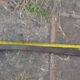 Indigente es asesinado cruelmente en Fernando de la Mora