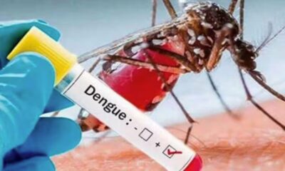 Desde septiembre hay 36 fallecidos confirmados por dengue, según Salud