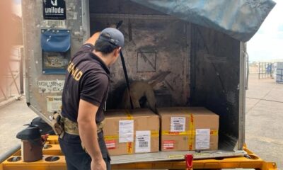 Video: Perro de la Senad detecta droga en cargamento que iba a España