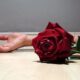 Alarmante: 244 víctimas de feminicidio en los últimos seis años