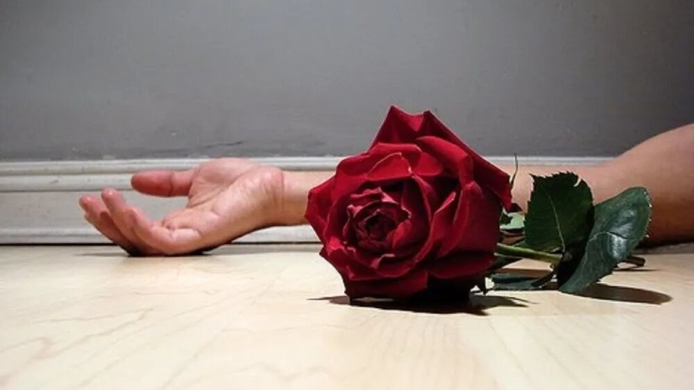 Alarmante: 244 víctimas de feminicidio en los últimos seis años