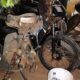 Violento choque entre motocicletas deja un muerto en Concepción