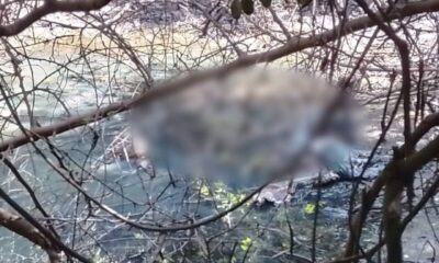 Hallan restos óseos en arroyo de Luque: pertenecerían a adulto mayor desaparecido