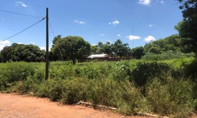 Municipalidad de Zanja Pytã pide limpieza de terrenos a propietarios que residen en PJC