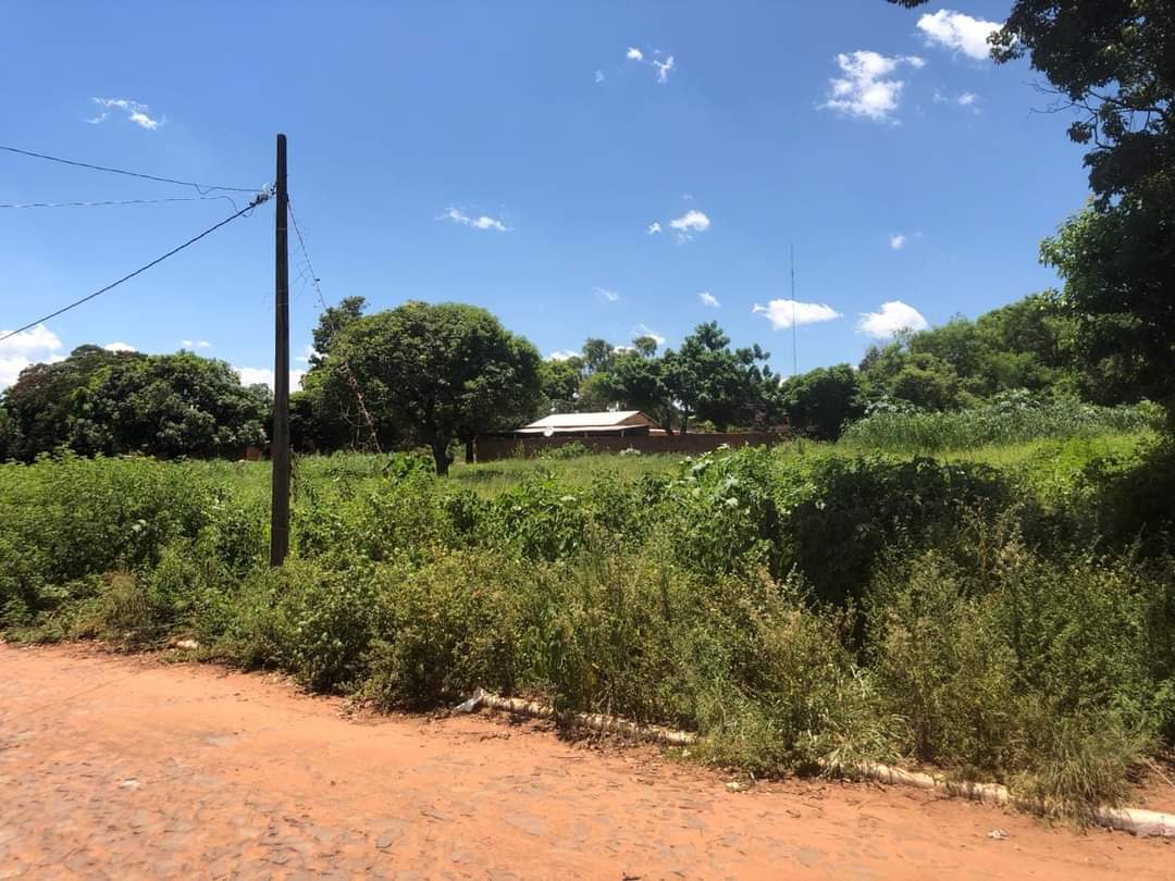 Municipalidad de Zanja Pytã pide limpieza de terrenos a propietarios que residen en PJC Municipalidad de Zanja Pytã pide limpieza de terrenos a propietarios que residen en PJC