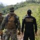 Anularon 200 toneladas de marihuana en Amambay