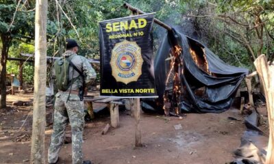 SENAD elimina 12 toneladas de droga en Bella Vista Norte