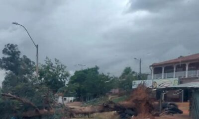 Fuertes vientos azotan Yby Yaú y dejan un herido por caída de árbol