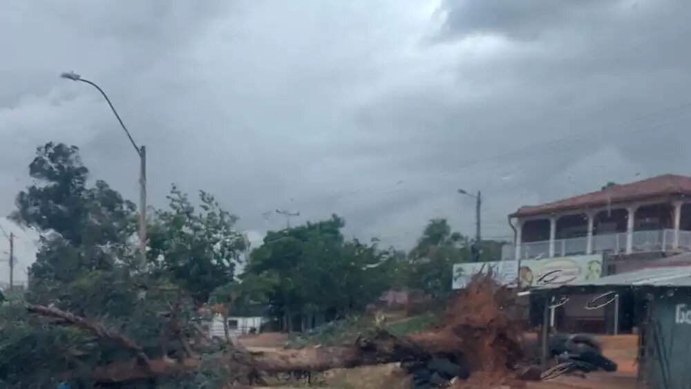 Fuertes vientos azotan Yby Yaú y dejan un herido por caída de árbol