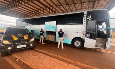 Bus de turismo que salió de Mariano Roque Alonso cae con marihuana en Brasil