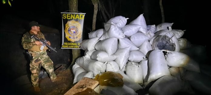 Senad detectó e incineró más de 9 toneladas de marihuana en Amambay Senad detectó e incineró más de 9 toneladas de marihuana en Amambay