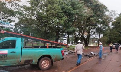 Temporal tumba árboles y causa destrozos en Alto Paraná