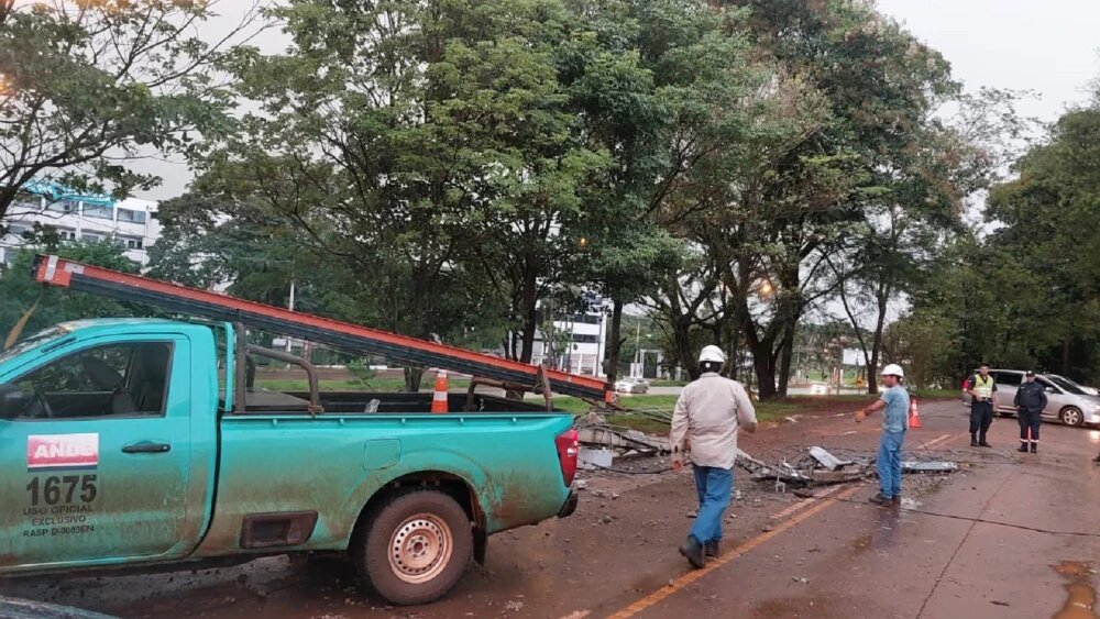 Temporal tumba árboles y causa destrozos en Alto Paraná