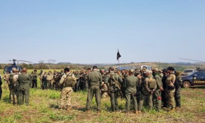 Operativo Nueva Alianza destruye 84 toneladas de marihuana en Amambay