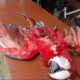 Crueldad: Asesinan a un guacamayo rojo en Luque