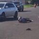 PJC: Ocupantes de una motocicleta fueron embestidos por un automóvil que intentó esquivar un camión