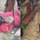 Vecinos de Tablada Nueva reducen a presunto delincuente y lo entregan a la Policía