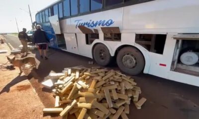 Ponta Porã: Bus que salió de Asunción rumbo a Florianópolis cae con una tonelada de droga