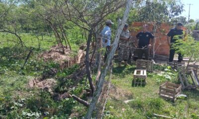 Hombre mata a su tío político en sector rural de Concepción