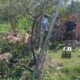 Hombre mata a su tío político en sector rural de Concepción