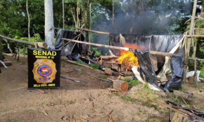 Destruyen seis toneladas de droga en Canindeyú