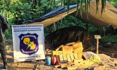Destruyen e incineran marihuana y otros objetos en Concepción