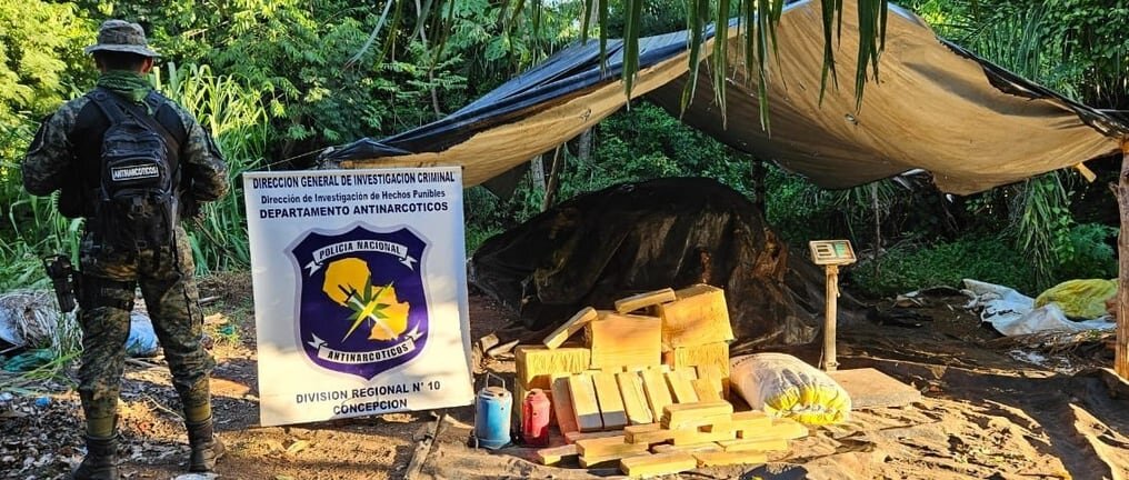 Destruyen e incineran marihuana y otros objetos en Concepción