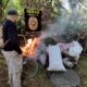 Bella Vista: destruyen 14 toneladas de marihuana valuada en 420.000 dólares