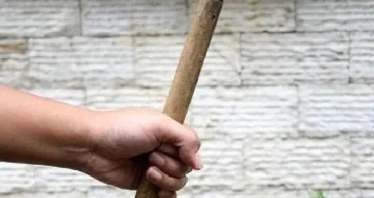 Capitán Bado: Niña muere tras ser golpeada con un palo de madera por su hermana Capitán Bado: Niña muere tras ser golpeada con un palo de madera por su hermana