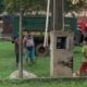 Vacas fallecen electrocutadas por cable pelado en parque municipal de La Colmena