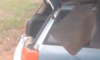 Una madre vive en un vehículo con sus hijos, tras aparentemente ser echada de la casa de su suegra