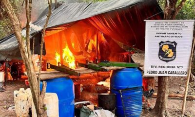 Plantaciones de marihuana son destruidas por Antinarcóticos en Bella Vista Norte