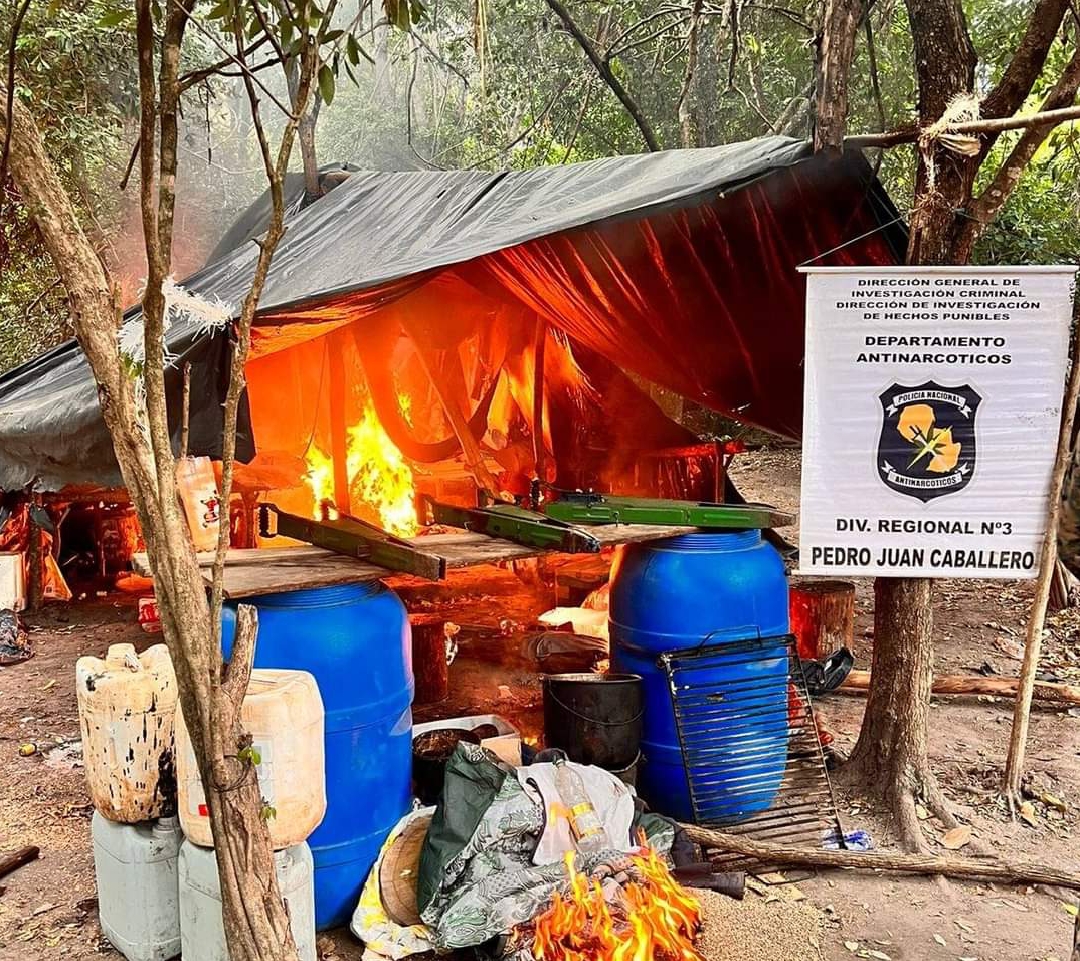 Plantaciones de marihuana son destruidas por Antinarcóticos en Bella Vista Norte Plantaciones de marihuana son destruidas por Antinarcóticos en Bella Vista Norte