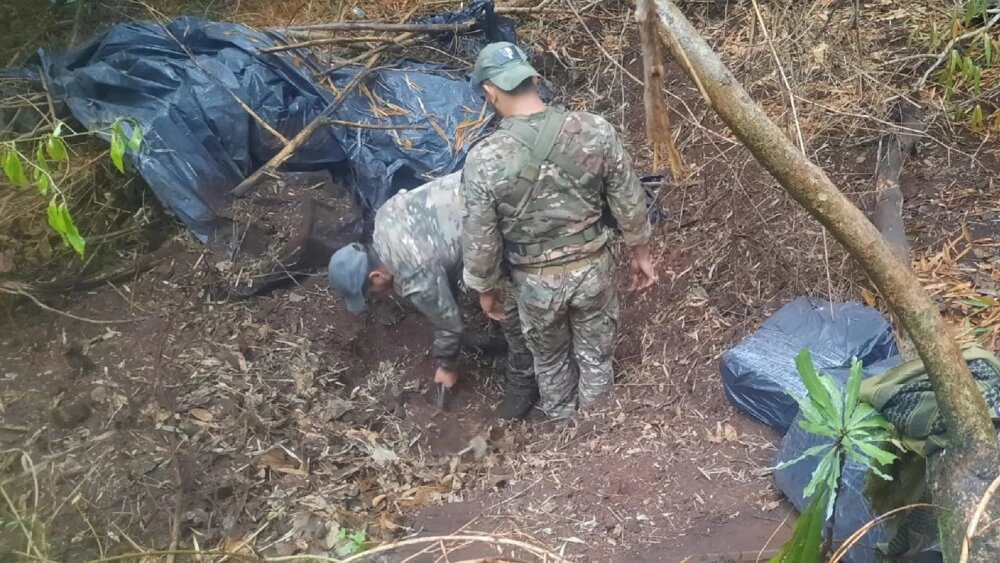 Un indígena tenía escondido bajo tierra alrededor de 1.000 kilos de marihuana Un indígena tenía escondido bajo tierra alrededor de 1.000 kilos de marihuana